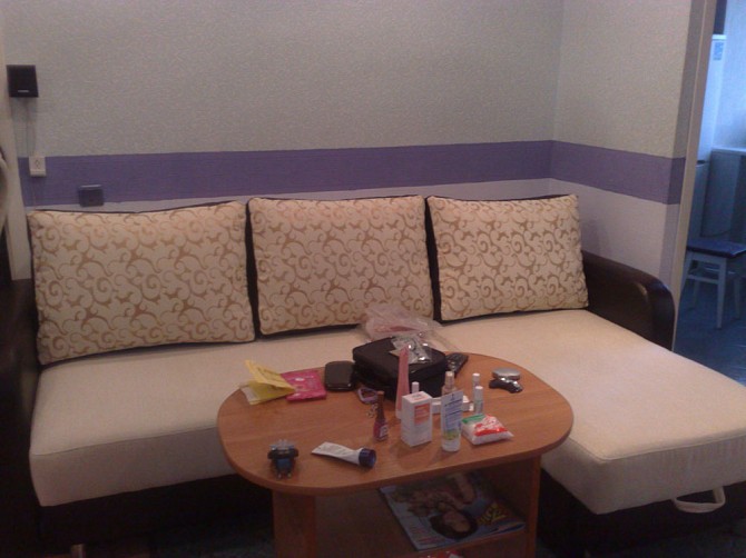 House on Troieschyna in the cottage Zaporizhzhya - photo 2