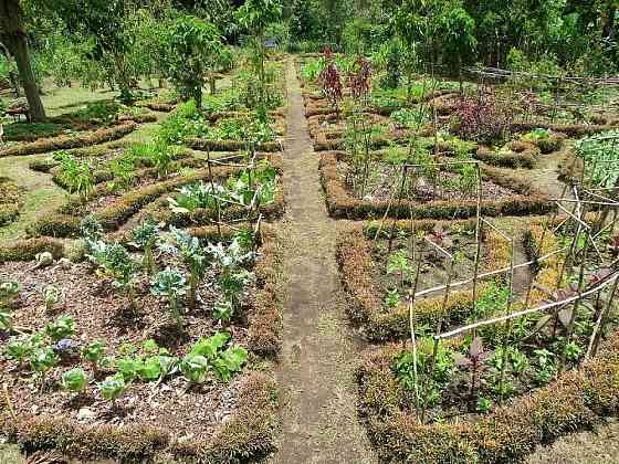 Продам земельный участок в садовом товариществе Луцк