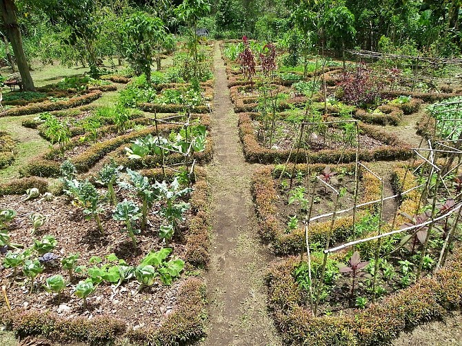 Продам земельный участок в садовом товариществе Луцк - изображение 1