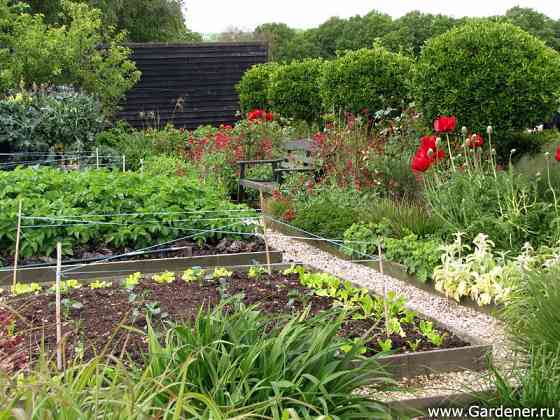 Продаю дачный участок для сада Одесса