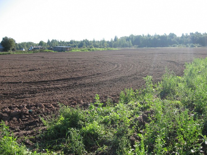 Куплю действующее с/х предприятие, с пахотной землей Акимовка - изображение 1